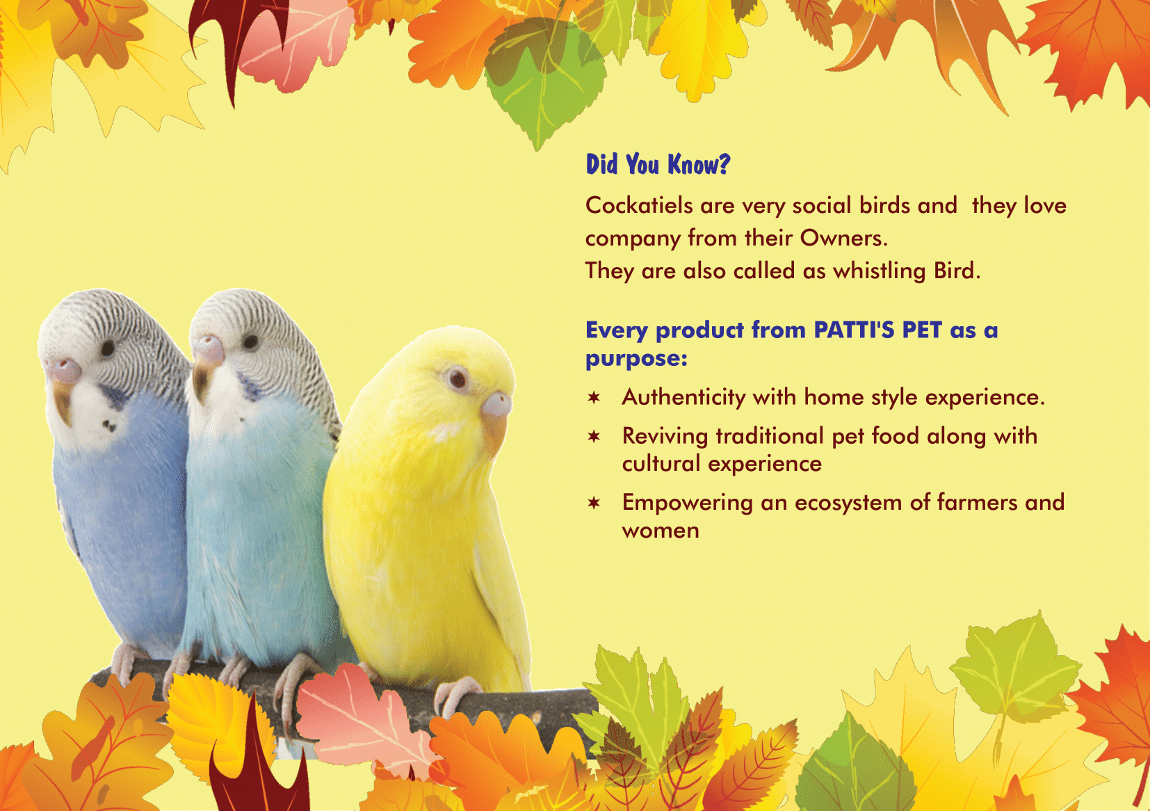 Decorative Wooden Birdhouse - Image 2